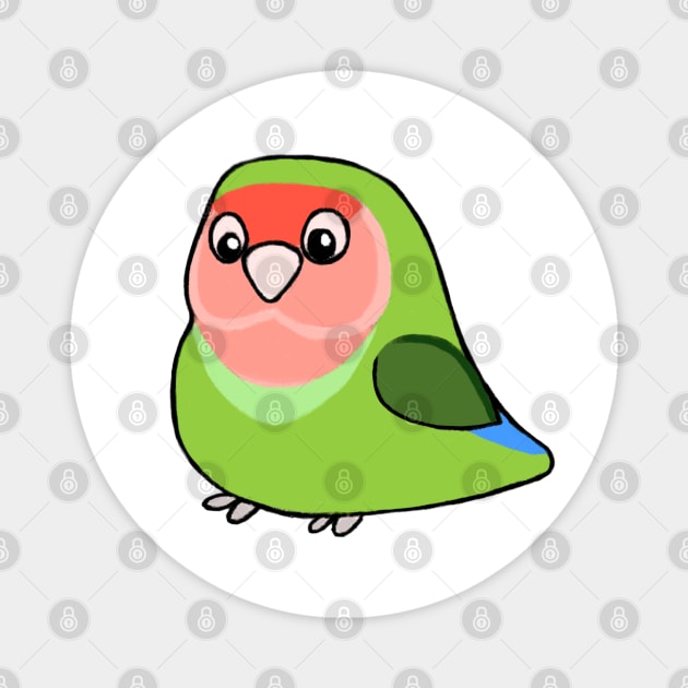 Cute peach faced lovebird Magnet by MoggyCatDesigns